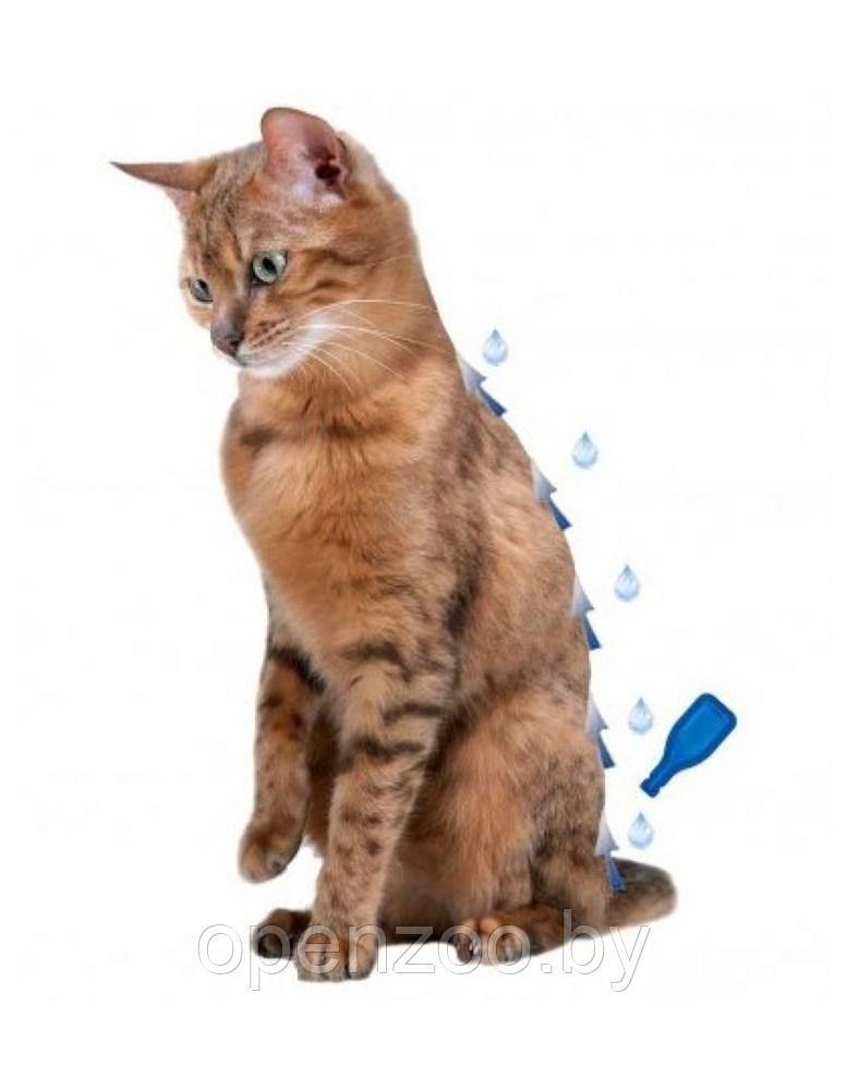 Beaphar IMMO SHIELD LINE-ON CAT 3×1 мл. Капли от паразитов для котов - фото 2 - id-p190643216