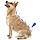 Beaphar IMMO SHIELD LINE-ON DOG 3x3ml / Капли от паразитов для собак средних пород, фото 2