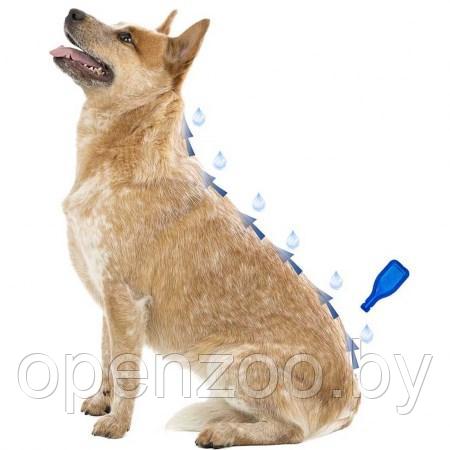 Beaphar IMMO SHIELD LINE-ON DOG 3x3ml / Капли от паразитов для собак средних пород - фото 2 - id-p190643225