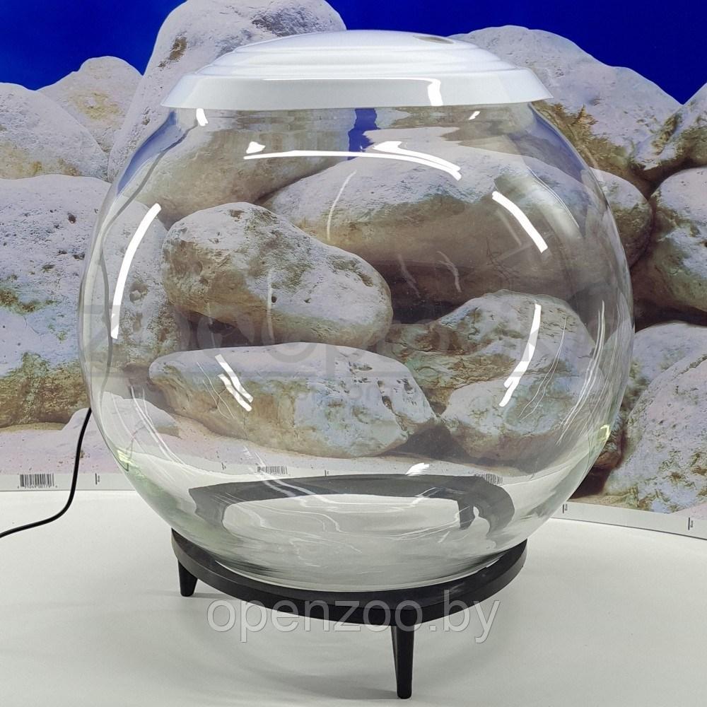 ZooAqua Аквариум шаровидный на подставке 24 л c Led светильником - фото 1 - id-p190643277