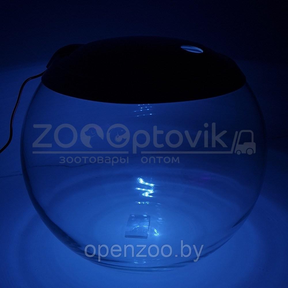 ZooAqua Аквариум шаровидный на подставке 24 л c Led светильником - фото 4 - id-p190643277