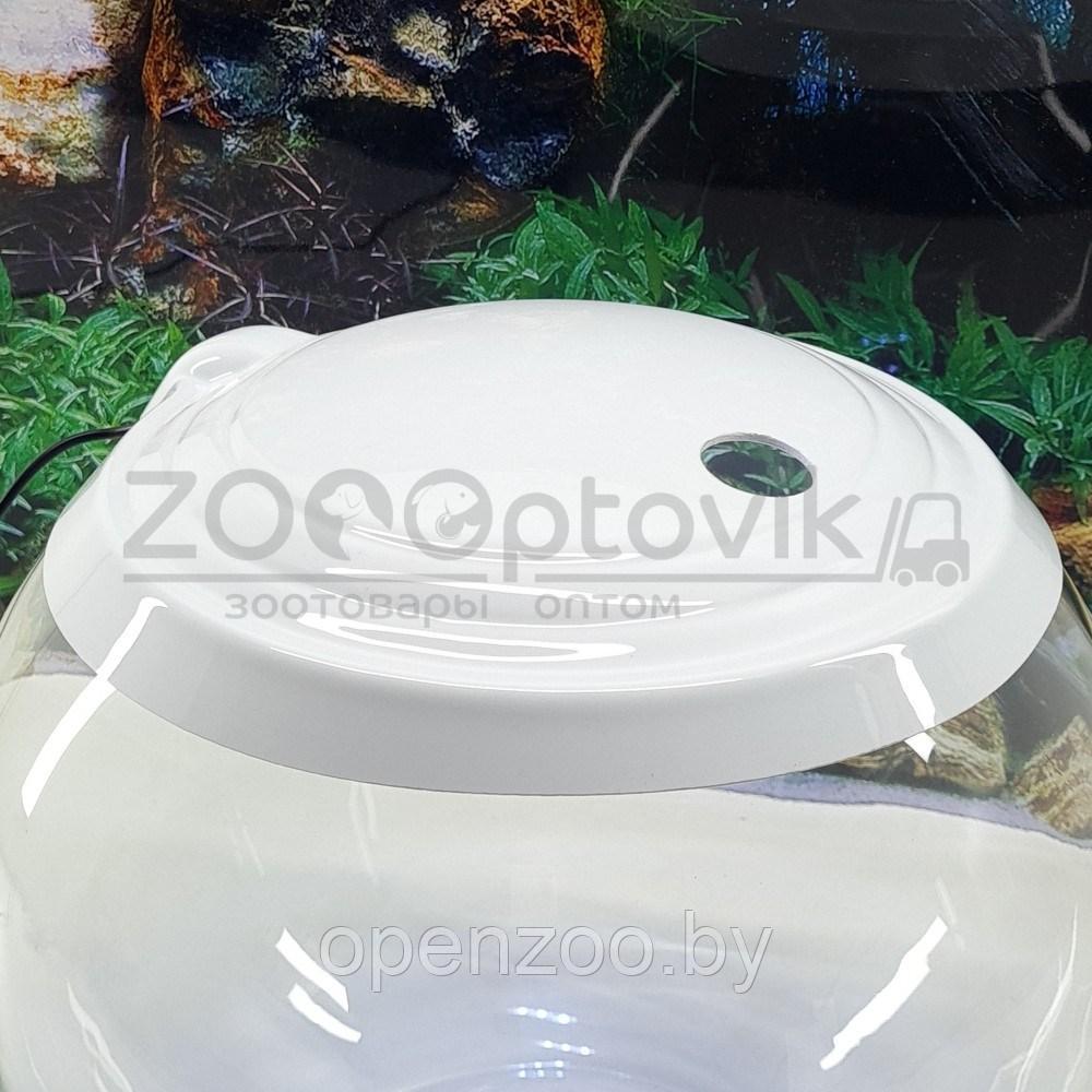 ZooAqua Аквариум круглый на 13 л с Led светильником - фото 7 - id-p190643278