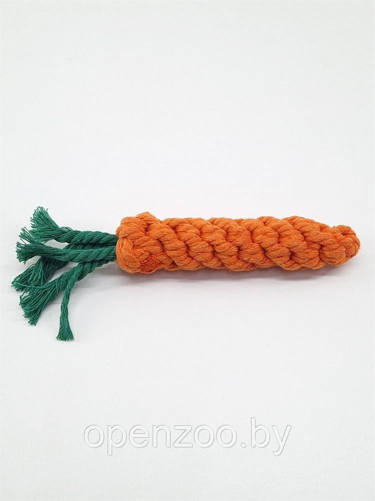ZooAqua Игрушка для собак "Морковь" 20 см. - фото 3 - id-p190643283