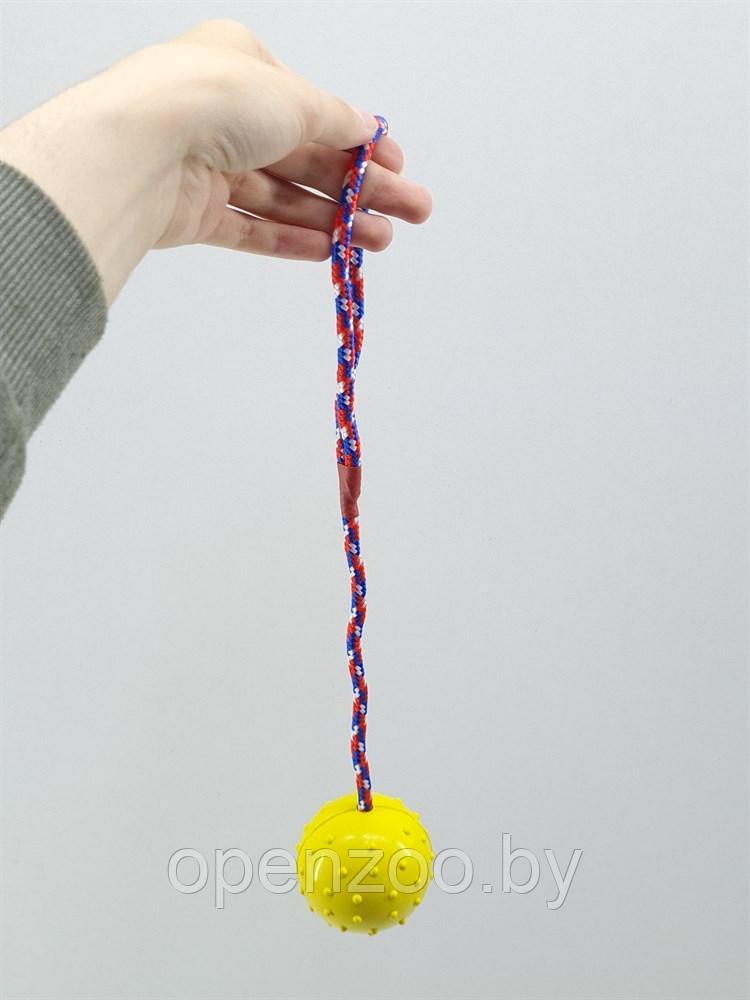 ZooAqua Игрушка для собак "Резиновый колючий мяч с веревкой", 6х30 см. - фото 5 - id-p190643288