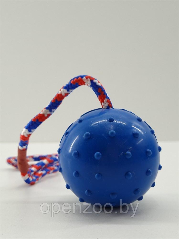 ZooAqua Игрушка для собак "Резиновый колючий мяч с веревкой", 6х30 см. - фото 6 - id-p190643288