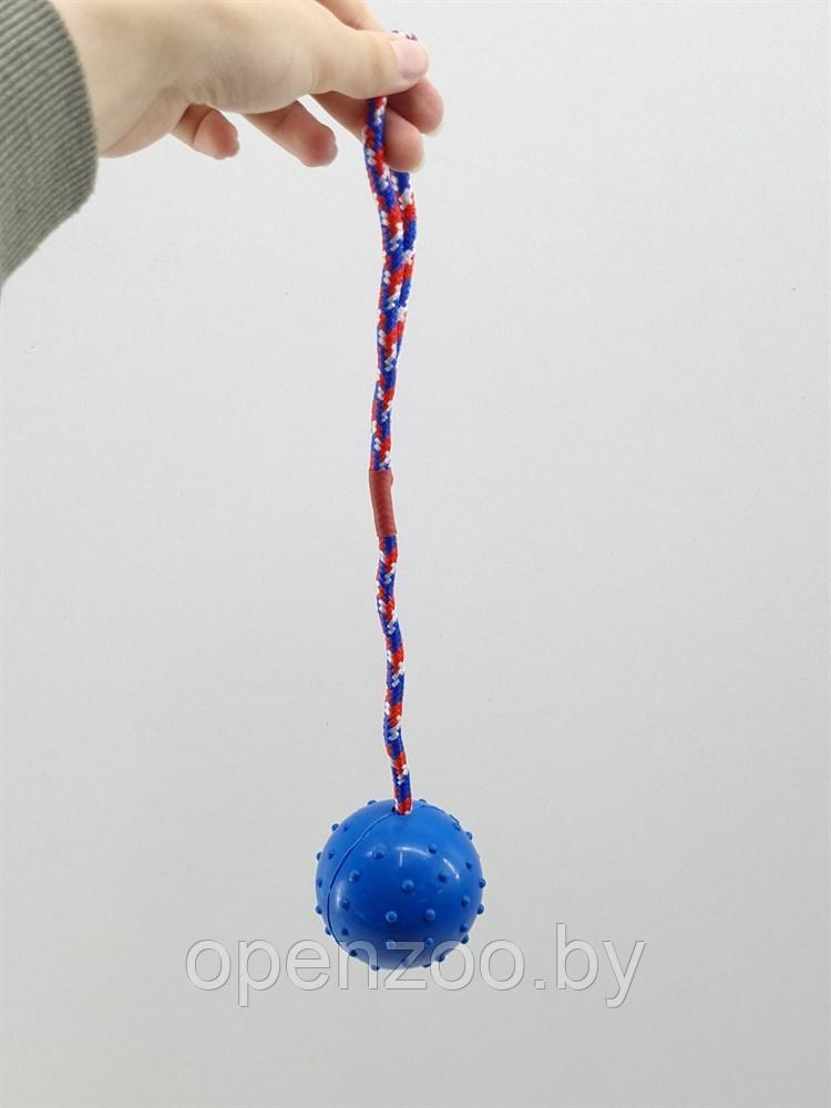 ZooAqua Игрушка для собак "Резиновый колючий мяч с веревкой", 6х30 см. - фото 7 - id-p190643288