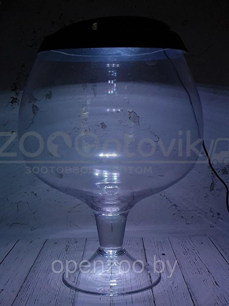 ZooAqua Аквариум бокал на 7 литров черный с Led светильником на пульте управления деньночь и др. режимы - фото 6 - id-p190643291