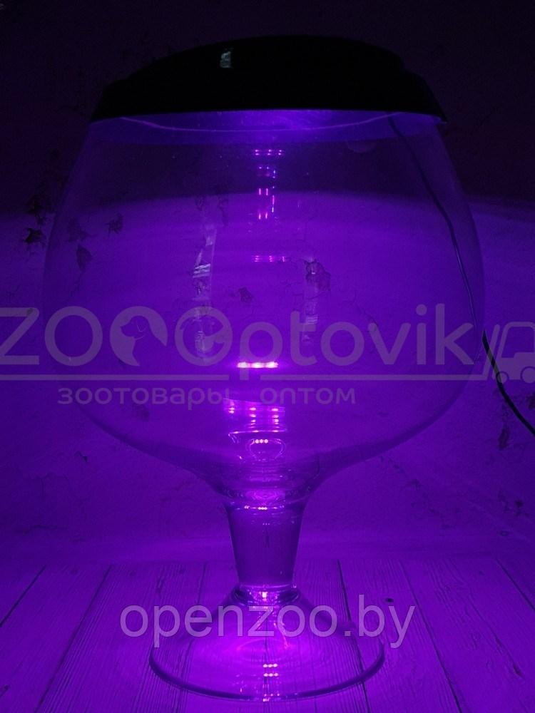 ZooAqua Аквариум бокал на 7 литров черный с Led светильником на пульте управления деньночь и др. режимы - фото 7 - id-p190643291