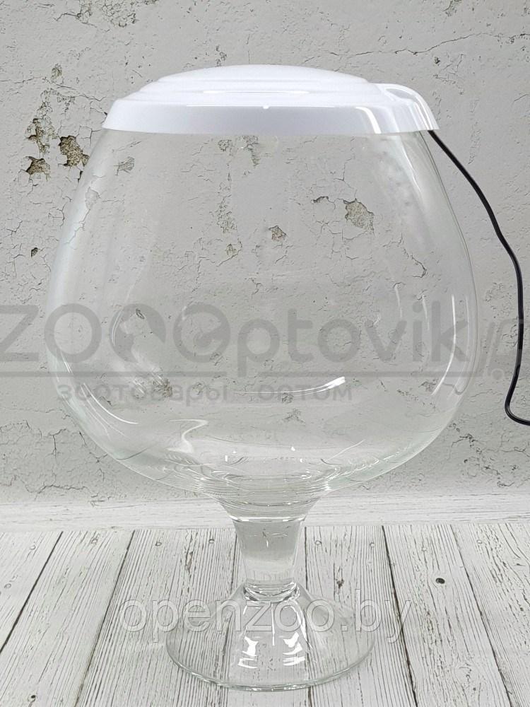 ZooAqua Аквариум бокал на 7 литров белый с Led светильником на пульте управления деньночь и др. режимы - фото 1 - id-p190643292