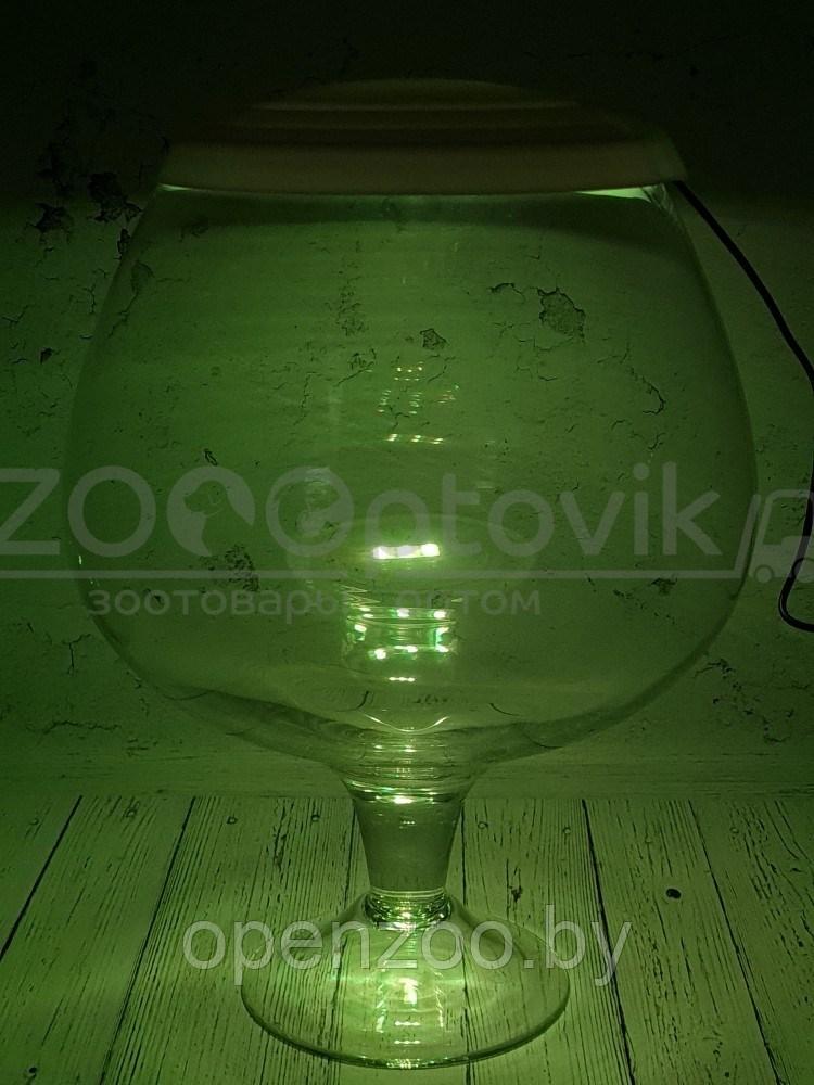 ZooAqua Аквариум бокал на 7 литров белый с Led светильником на пульте управления деньночь и др. режимы - фото 6 - id-p190643292