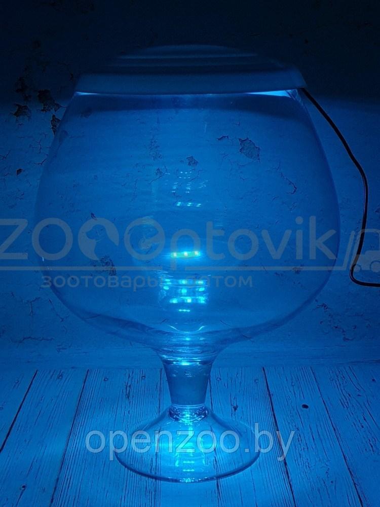ZooAqua Аквариум бокал на 7 литров белый с Led светильником на пульте управления деньночь и др. режимы - фото 7 - id-p190643292