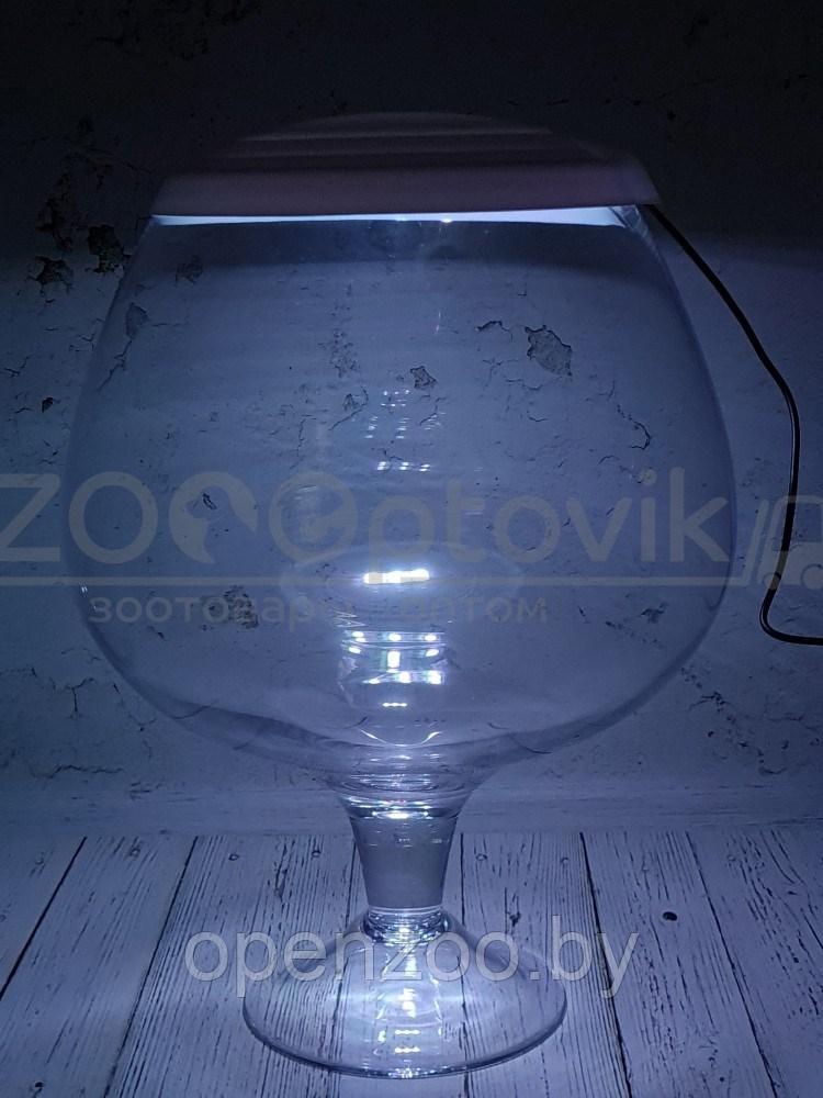 ZooAqua Аквариум бокал на 7 литров белый с Led светильником на пульте управления деньночь и др. режимы - фото 8 - id-p190643292