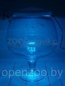 ZooAqua Аквариум бокал на 12 литров белый с Led светильником на пульте управления деньночь и др. режимы