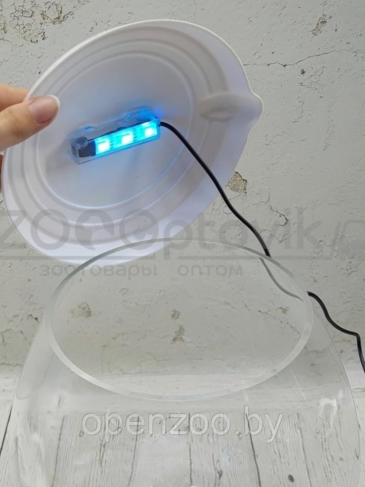 ZooAqua Аквариум бокал на 12 литров белый с Led светильником на пульте управления деньночь и др. режимы - фото 5 - id-p190643295