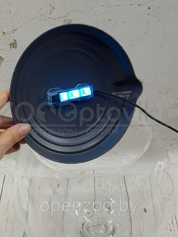 ZooAqua Аквариум бокал на 12 литров с Led светильником на пульте управления деньночь и др. режимы - фото 7 - id-p190643296