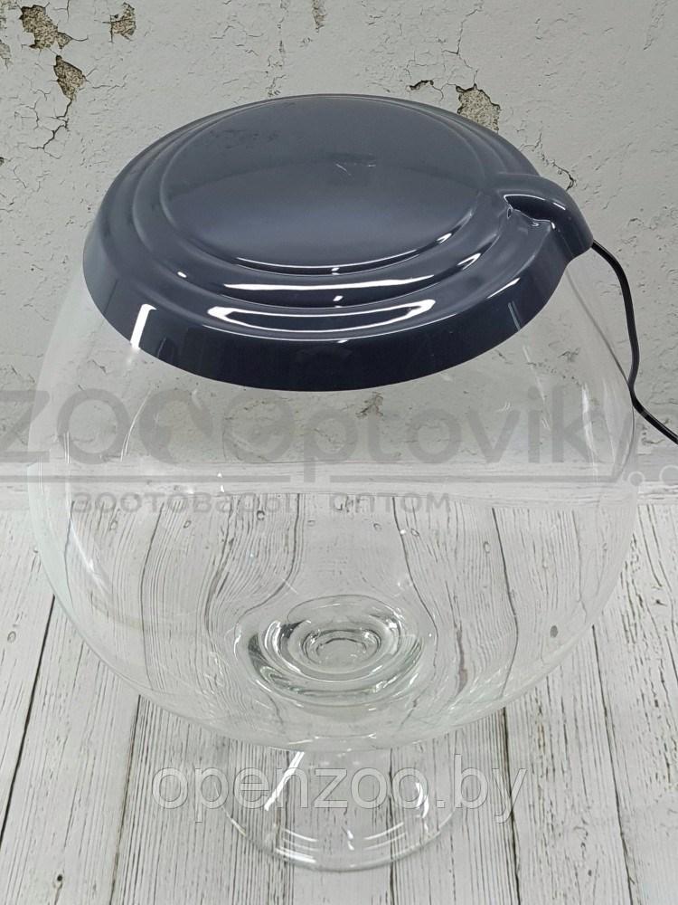 ZooAqua Графитовая крышка для аквариума 7 литров с Led светильником - фото 3 - id-p190643305