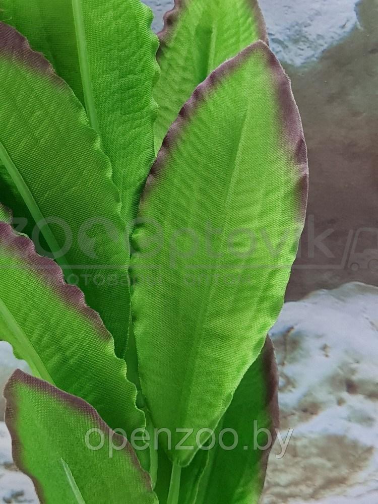 Silver Berg Шелковое растение для аквариума (30 см) Silver Berg №531 - фото 2 - id-p190643331