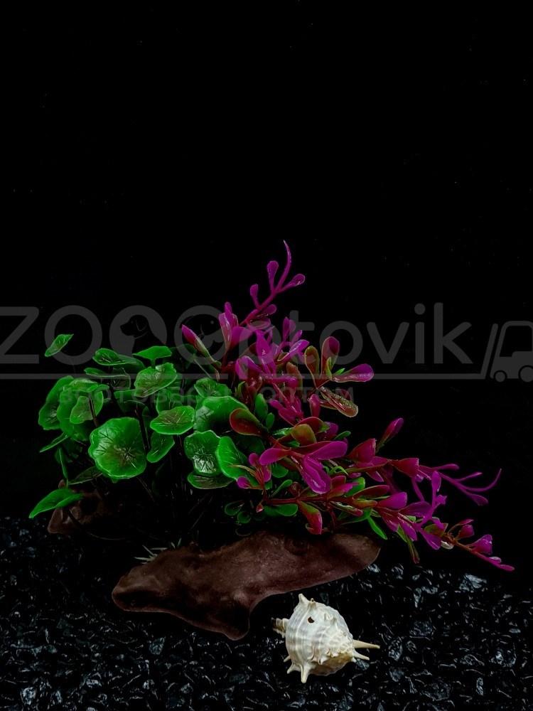 Silver Berg Растение с корягой для аквариума (17 см) Silver Berg №127 - фото 4 - id-p190647550