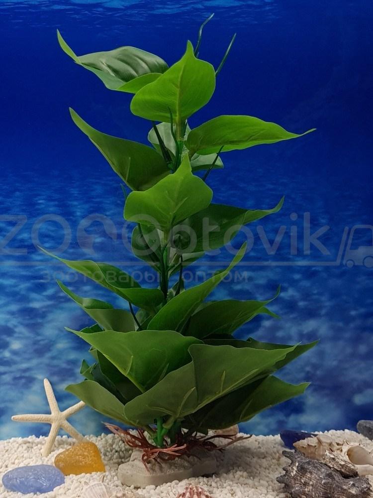 Silver Berg Растение для аквариума (30 см) Silver Berg №135 - фото 2 - id-p190647558