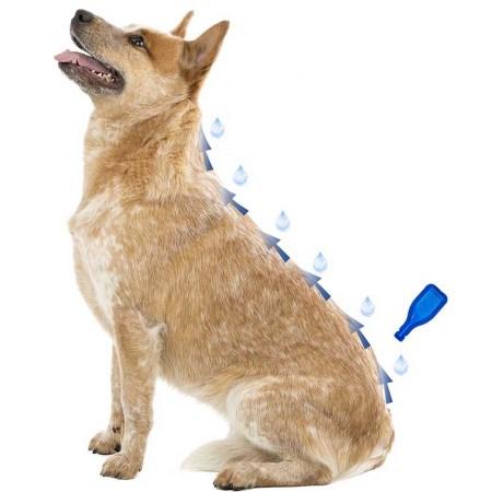 Beaphar IMMO SHIELD LINE-ON DOG 3x3ml / Капли от паразитов для собак средних пород - фото 2 - id-p190651283