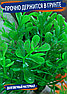 Silver Berg Растение с корягой для аквариума (17 см) Silver Berg №167, фото 2