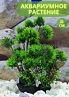 Silver Berg Растение для аквариума (30 см) Silver Berg №130