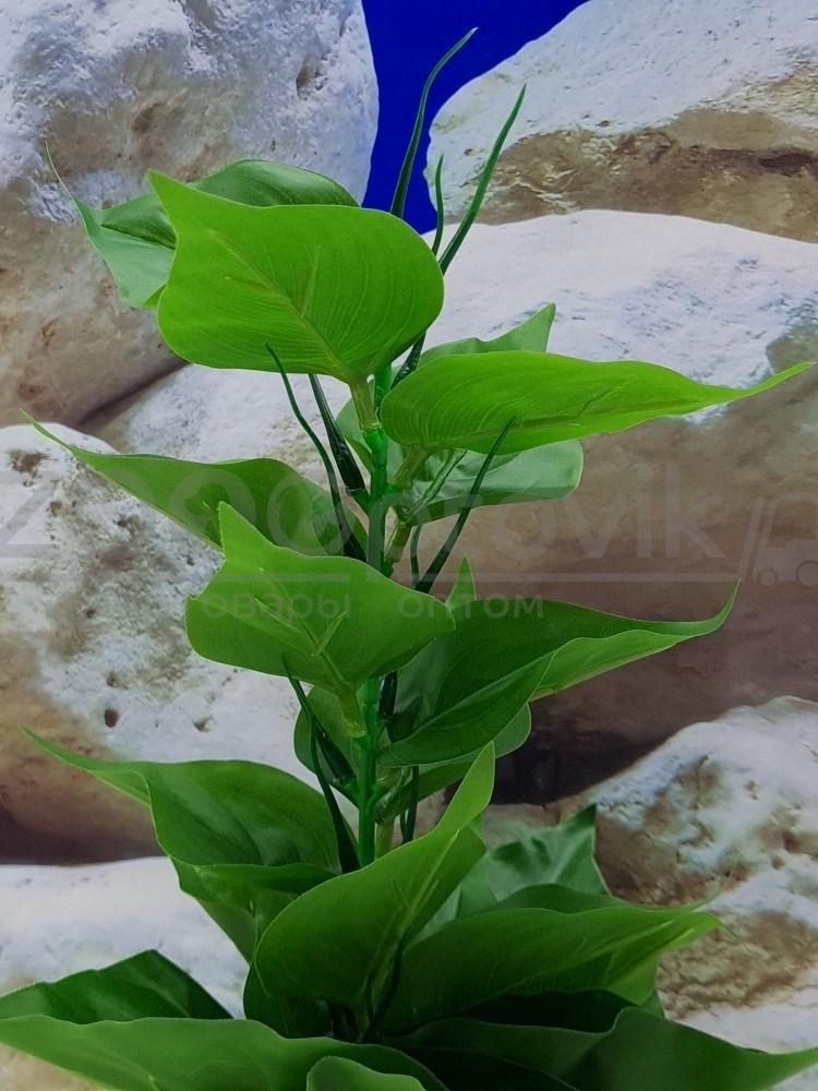 Silver Berg Растение для аквариума (30 см) Silver Berg №135 - фото 3 - id-p190651711