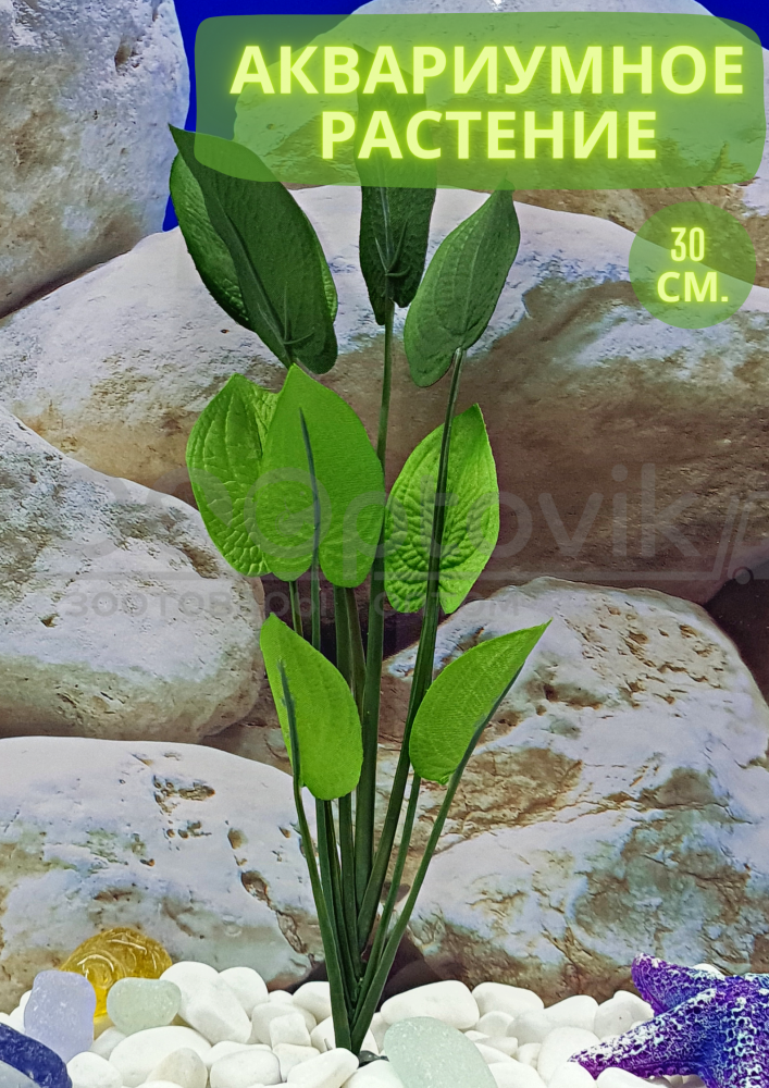 Silver Berg Шелковое растение для аквариума (30 см) Silver Berg №532 - фото 1 - id-p190651712