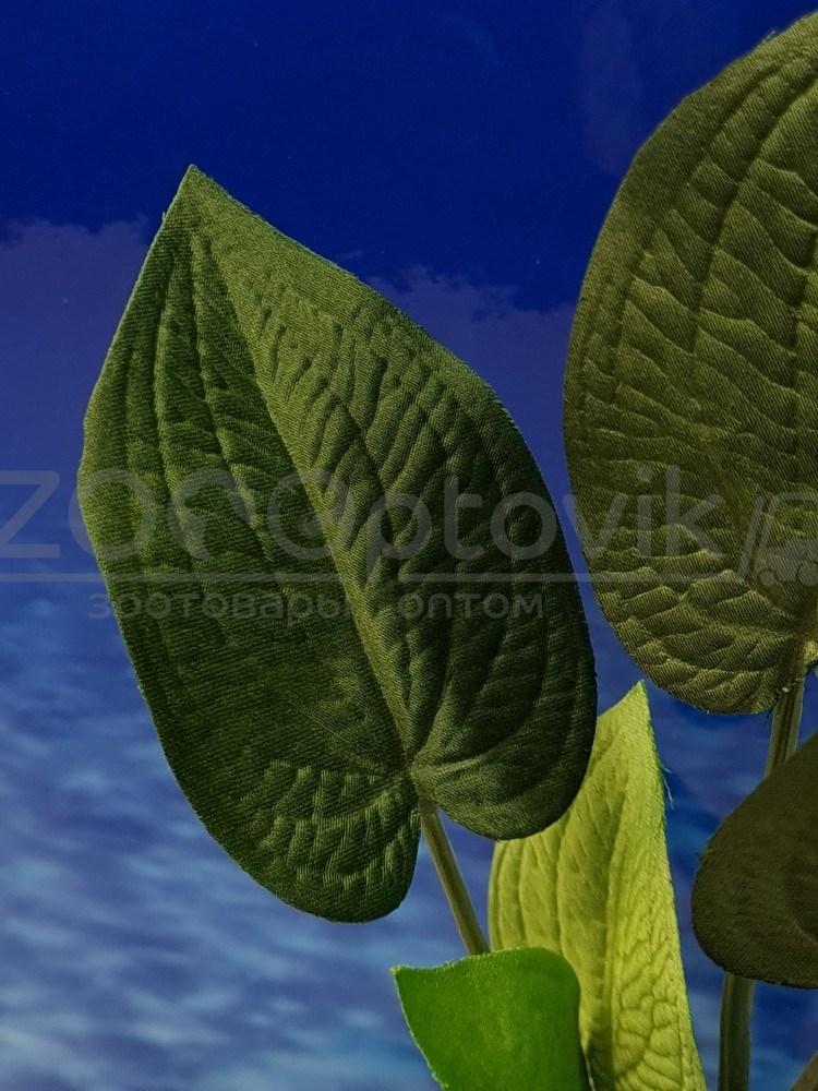 Silver Berg Шелковое растение для аквариума (30 см) Silver Berg №532 - фото 4 - id-p190651712