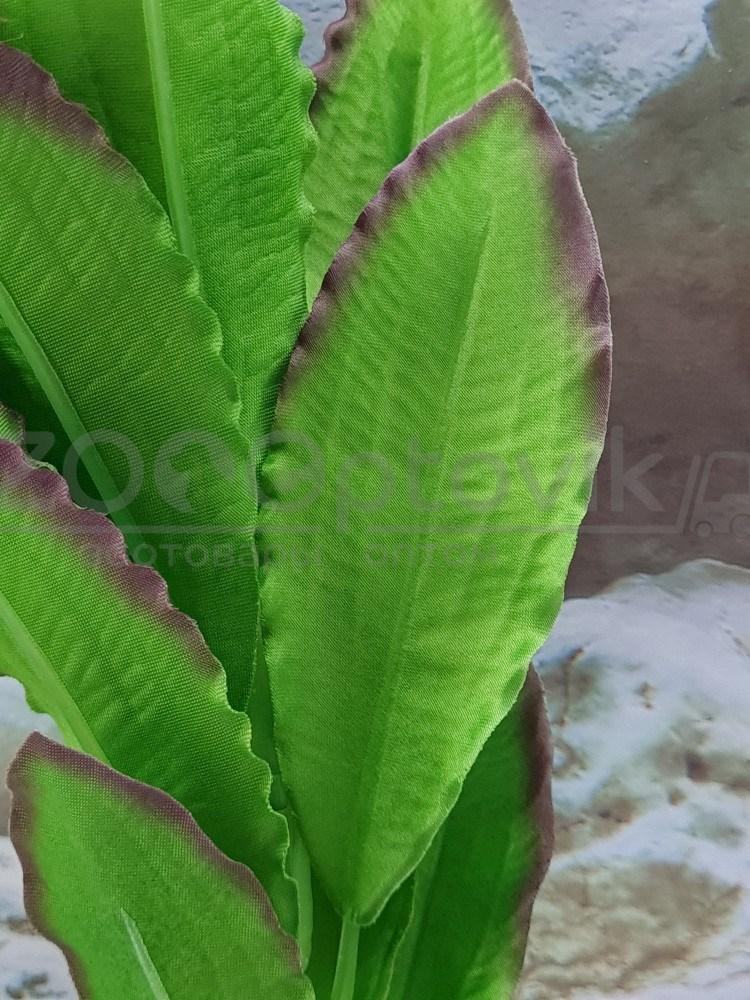 Silver Berg Шелковое растение для аквариума (30 см) Silver Berg №531 - фото 2 - id-p190651715