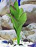 Silver Berg Шелковое растение для аквариума (30 см) Silver Berg №531, фото 4