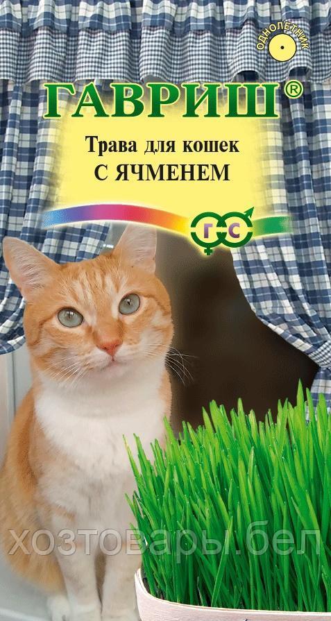 Трава для кошек с ячменем 10г Одн (Гавриш) - фото 1 - id-p190695132