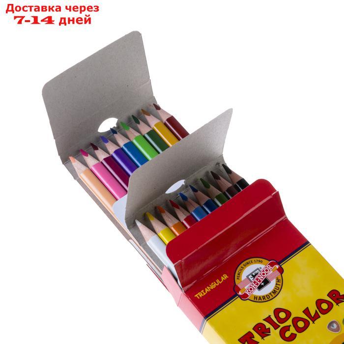 Карандаши 18 цветов, Koh-I-Noor 3133 TRIOCOLOR, картонная упаковка, европодвес - фото 3 - id-p190529248