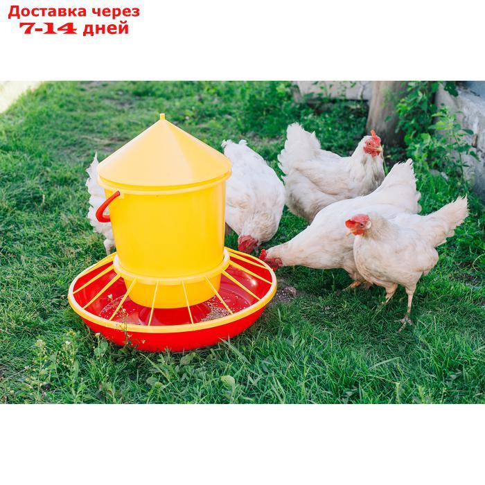 Кормушка бункерная для домашней птицы на 12 кг - фото 5 - id-p190533662