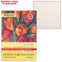 Папка для пастели А4, 210 х 297 мм, 20 листов, тонированная бумага, слоновая кость, ГОЗНАК "Холст", блок 200