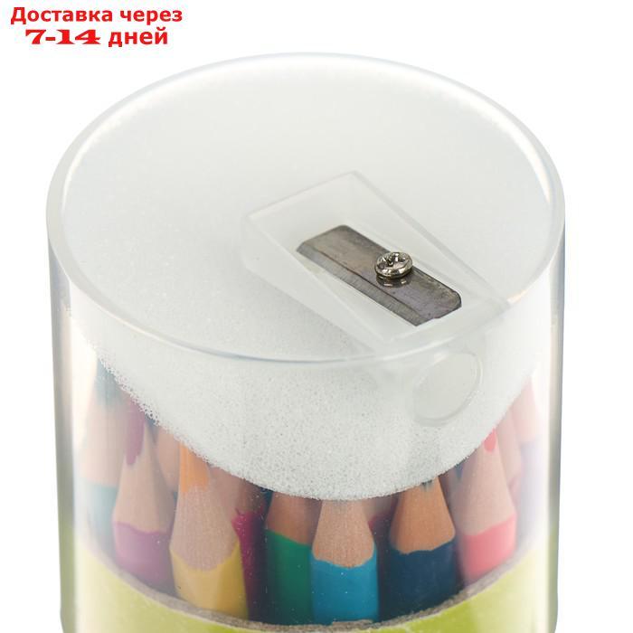 Карандаши цветные 36 цветов Funcolor пластиковые, в картонной тубе, микс из 4 видов - фото 2 - id-p190529640