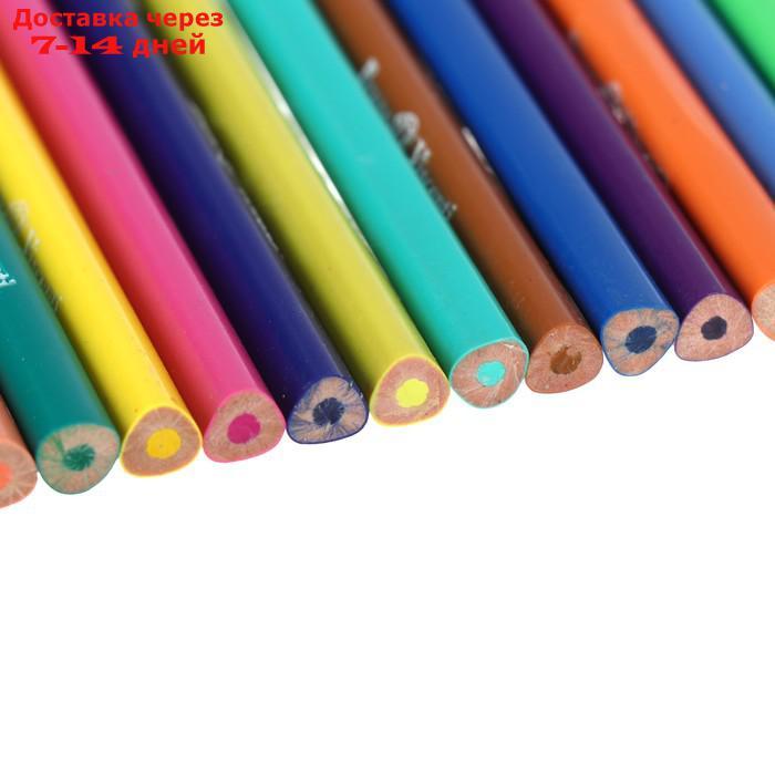 Карандаши цветные 36 цветов Funcolor пластиковые, в картонной тубе, микс из 4 видов - фото 4 - id-p190529640