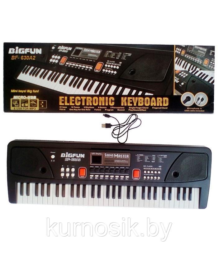 Детский синтезатор с микрофоном, с USB и MP3, от сети 49 клавиш Bigfun BF-530A2 - фото 1 - id-p190815659