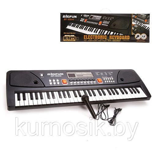 Детский синтезатор с микрофоном, с USB и MP3, от сети 49 клавиш Bigfun BF-530A2 - фото 2 - id-p190815659