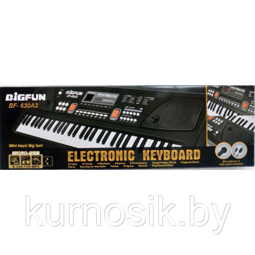 Детский синтезатор с микрофоном, с USB и MP3, от сети 49 клавиш Bigfun BF-530A2 - фото 3 - id-p190815659