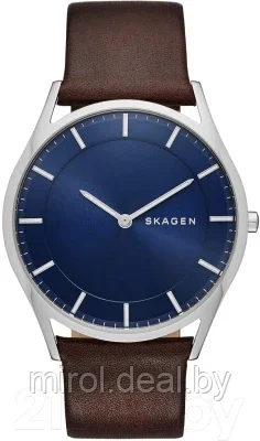 Часы наручные мужские Skagen SKW6237 - фото 1 - id-p190845380