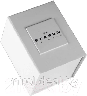 Часы наручные мужские Skagen SKW6237 - фото 3 - id-p190845380