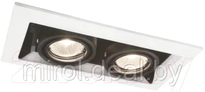 Потолочный светильник Arte Lamp Cardani Piccolo A5931PL-2WH