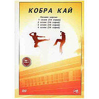 Кобра Кай 4в1 (4 сезон, 40 серий) (DVD)