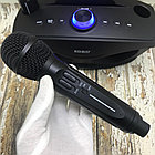 Беспроводная семейная Караоке система SDRD  SD-306 с двумя микрофонами в комплекте Розовый, фото 2
