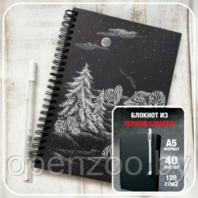 Скетчбук блокнот Sketchbook для рисования белая ручка (А5, плотные листы, чёрная бумага, спираль, 40 листов) - фото 1 - id-p190874846