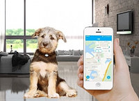 PET GPS Tracker для питомцев