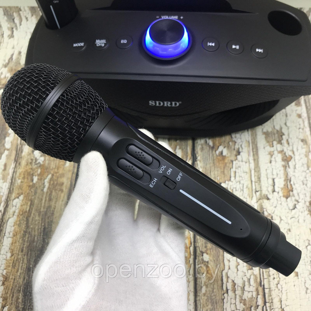 Беспроводная семейная Караоке система SDRD SD-306 с двумя микрофонами в комплекте Золотой - фото 2 - id-p138005322