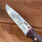 Нож туристический с гравировкой в кожаном футляре Кизляр России Республика Беларусь, фото 3