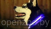 Светящийся ошейник для собак (3 режима) Glowing Dog Collar Голубой S (MAX 40sm)